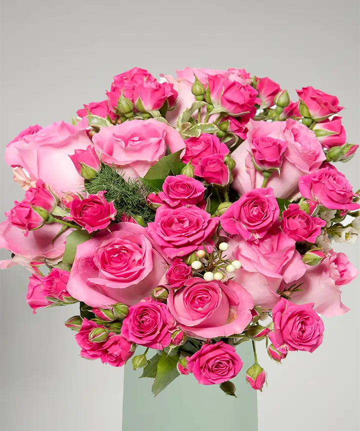 Bouquet di roselline rosa close up